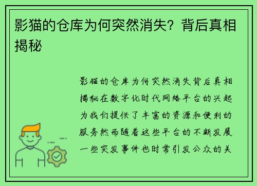 影猫的仓库为何突然消失？背后真相揭秘